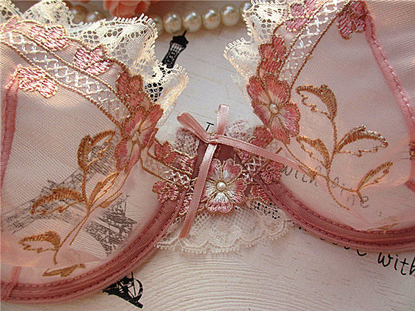 Ultra-Thin Cup Pink Embroidery Sexy Transparent Bra Set 34 - Seductive Serenity