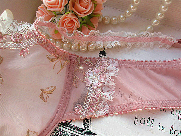 Ultra-Thin Cup Pink Embroidery Sexy Transparent Bra Set 35 - Seductive Serenity