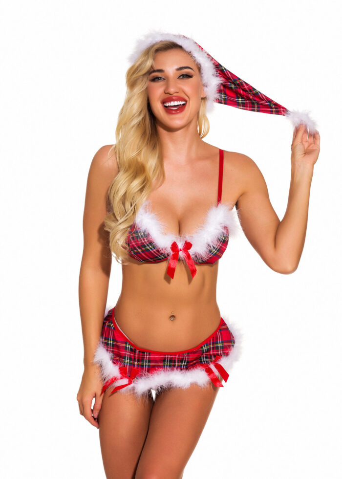 Sexy Christmas Cosplay Lingerie Suit 10 - Seductive Serenity